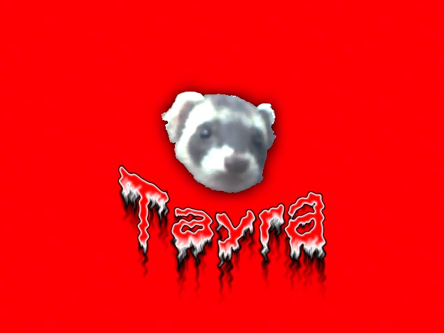tayradesktop.jpg